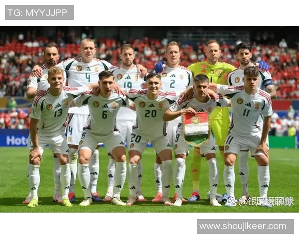 2016年欧洲杯盛大开幕球迷齐聚共同见证足球盛宴的精彩瞬间