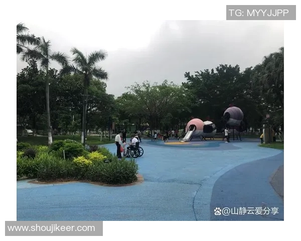 顶点户外体育用品助你畅享自然探险体验与运动乐趣的完美结合 顶点户外体育用品助你畅享自然探险体验与运动乐趣的完美结合